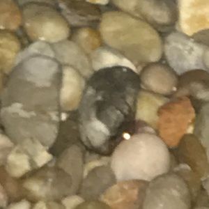 Meet your Posher, Andreas